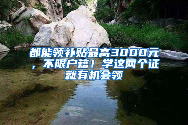 都能领补贴最高3000元，不限户籍！学这两个证就有机会领