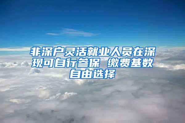 非深户灵活就业人员在深现可自行参保 缴费基数自由选择