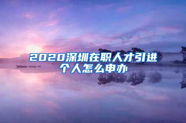 2020深圳在职人才引进个人怎么申办