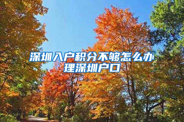 深圳入户积分不够怎么办理深圳户口