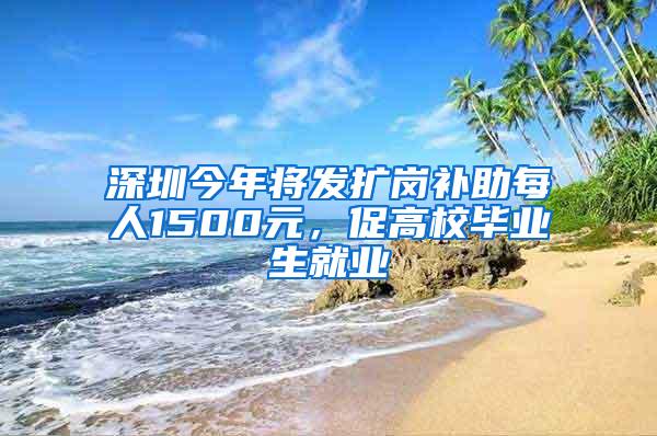 深圳今年将发扩岗补助每人1500元，促高校毕业生就业