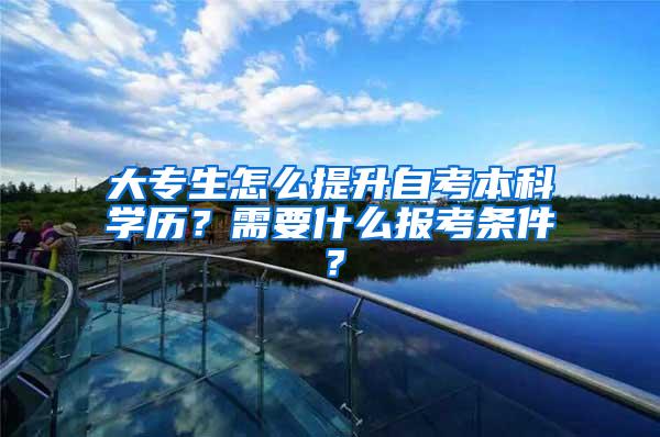 大专生怎么提升自考本科学历？需要什么报考条件？