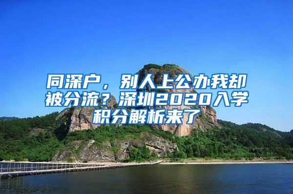 同深户，别人上公办我却被分流？深圳2020入学积分解析来了