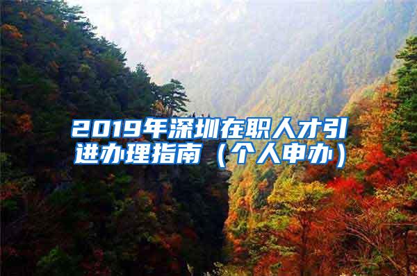 2019年深圳在职人才引进办理指南（个人申办）