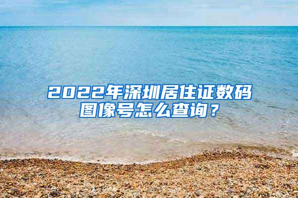 2022年深圳居住证数码图像号怎么查询？