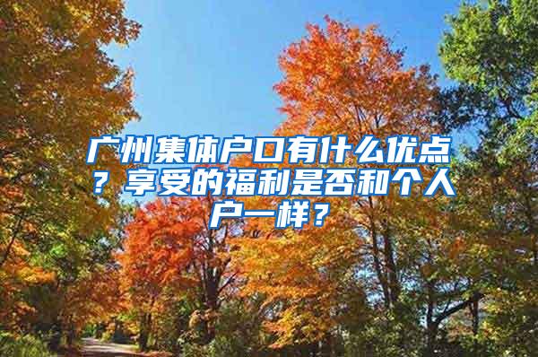 广州集体户口有什么优点？享受的福利是否和个人户一样？