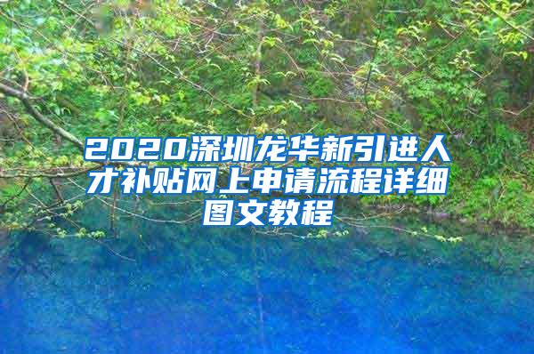 2020深圳龙华新引进人才补贴网上申请流程详细图文教程