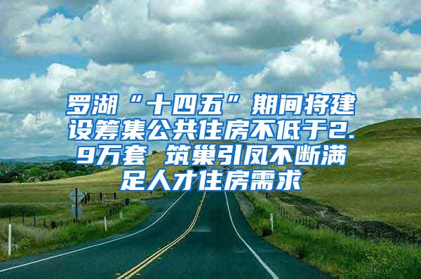 罗湖“十四五”期间将建设筹集公共住房不低于2.9万套 筑巢引凤不断满足人才住房需求