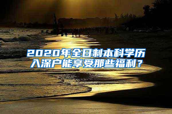 2020年全日制本科学历入深户能享受那些福利？