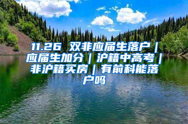 11.26 双非应届生落户｜应届生加分｜沪籍中高考｜非沪籍买房｜有前科能落户吗