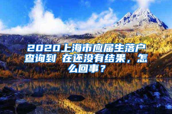 2020上海市应届生落户查询到現在还没有结果，怎么回事？