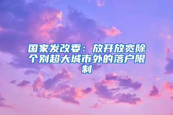 国家发改委：放开放宽除个别超大城市外的落户限制