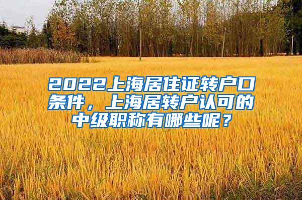 2022上海居住证转户口条件，上海居转户认可的中级职称有哪些呢？