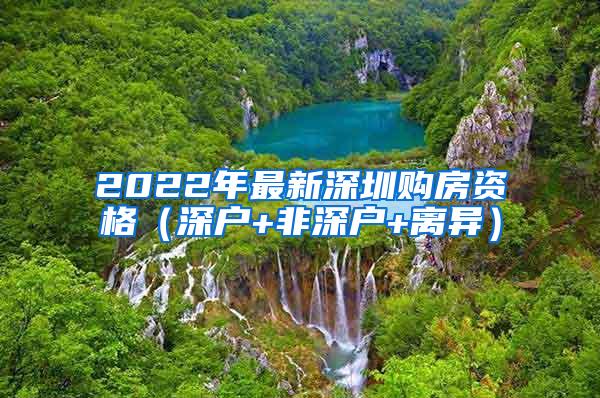 2022年最新深圳购房资格（深户+非深户+离异）