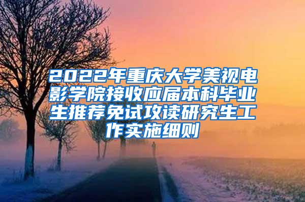 2022年重庆大学美视电影学院接收应届本科毕业生推荐免试攻读研究生工作实施细则