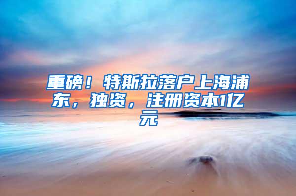 重磅！特斯拉落户上海浦东，独资，注册资本1亿元