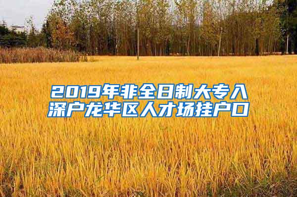 2019年非全日制大专入深户龙华区人才场挂户口