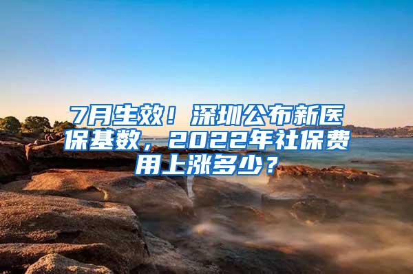 7月生效！深圳公布新医保基数，2022年社保费用上涨多少？