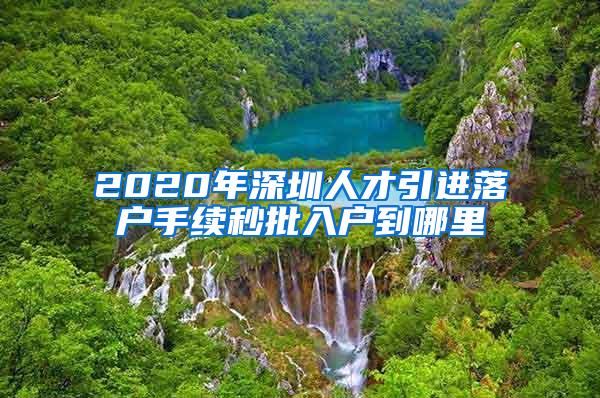 2020年深圳人才引进落户手续秒批入户到哪里