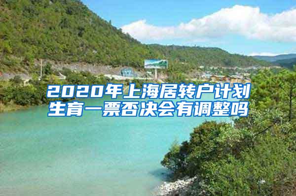 2020年上海居转户计划生育一票否决会有调整吗