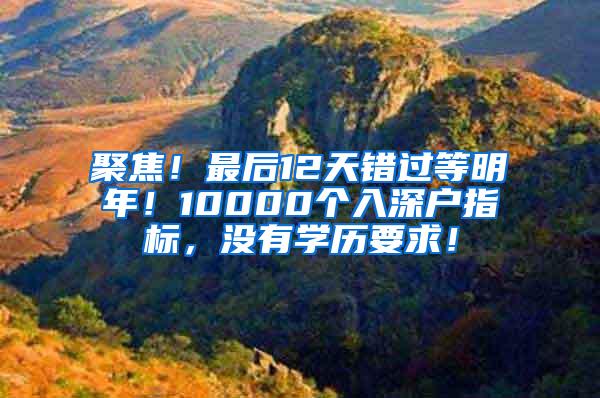 聚焦！最后12天错过等明年！10000个入深户指标，没有学历要求！