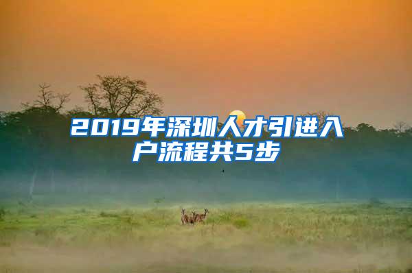 2019年深圳人才引进入户流程共5步