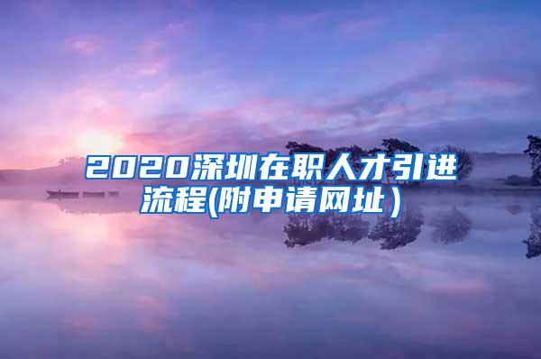 2020深圳在职人才引进流程(附申请网址）