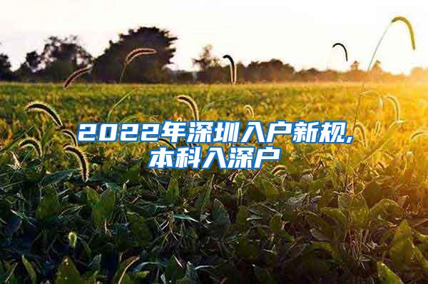 2022年深圳入户新规,本科入深户