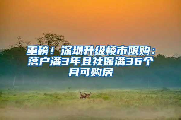 重磅！深圳升级楼市限购：落户满3年且社保满36个月可购房