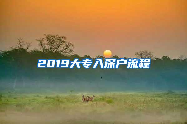 2019大专入深户流程