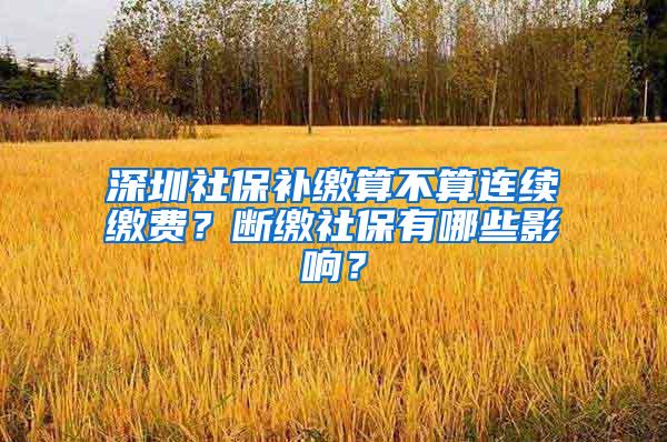 深圳社保补缴算不算连续缴费？断缴社保有哪些影响？