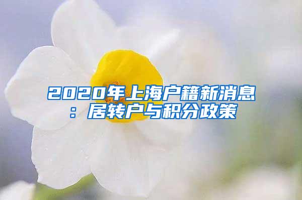 2020年上海户籍新消息：居转户与积分政策