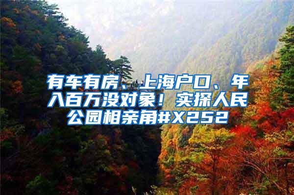 有车有房、上海户口、年入百万没对象！实探人民公园相亲角#X252
