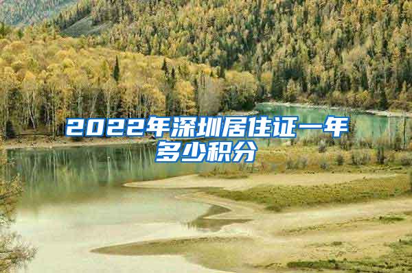 2022年深圳居住证一年多少积分