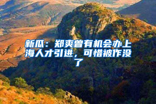 新瓜：郑爽曾有机会办上海人才引进，可惜被作没了