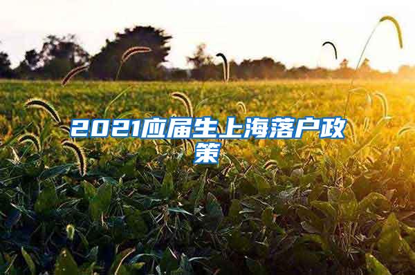 2021应届生上海落户政策