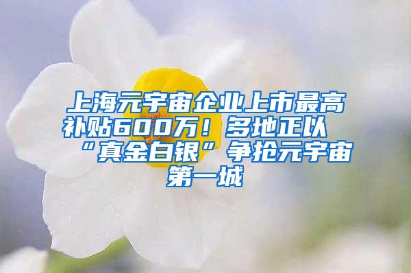 上海元宇宙企业上市最高补贴600万！多地正以“真金白银”争抢元宇宙第一城