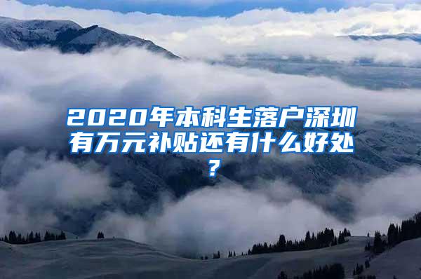 2020年本科生落户深圳有万元补贴还有什么好处？