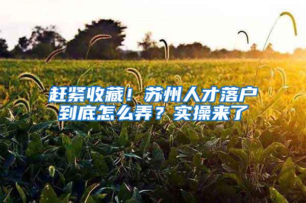 赶紧收藏！苏州人才落户到底怎么弄？实操来了