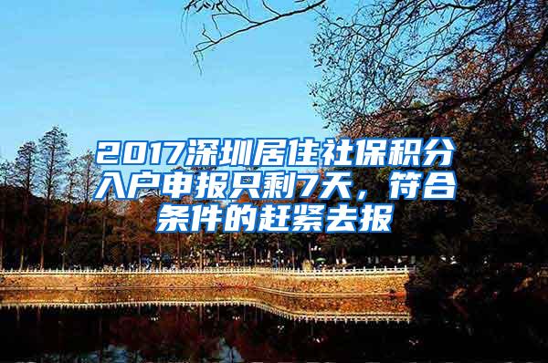 2017深圳居住社保积分入户申报只剩7天，符合条件的赶紧去报