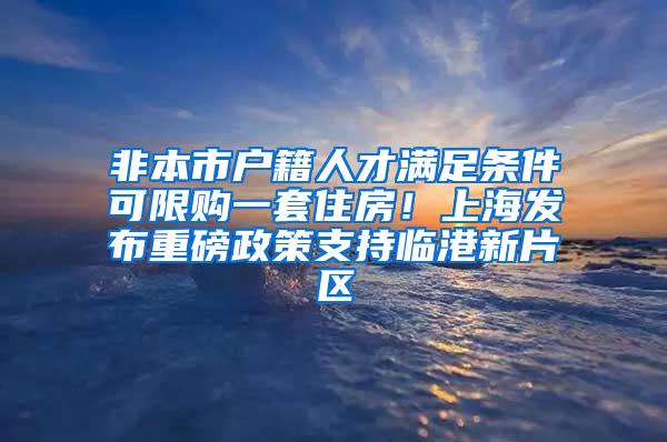 非本市户籍人才满足条件可限购一套住房！上海发布重磅政策支持临港新片区