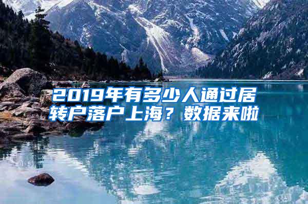 2019年有多少人通过居转户落户上海？数据来啦