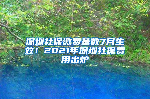 深圳社保缴费基数7月生效！2021年深圳社保费用出炉