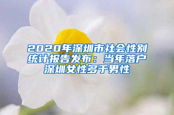 2020年深圳市社会性别统计报告发布：当年落户深圳女性多于男性