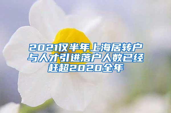 2021仅半年上海居转户与人才引进落户人数已经赶超2020全年