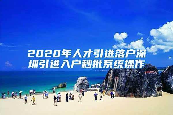 2020年人才引进落户深圳引进入户秒批系统操作