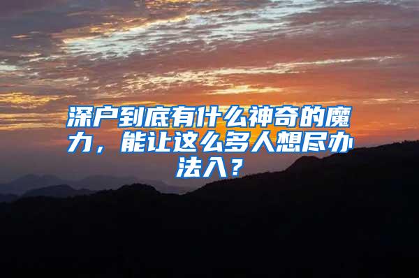 深户到底有什么神奇的魔力，能让这么多人想尽办法入？