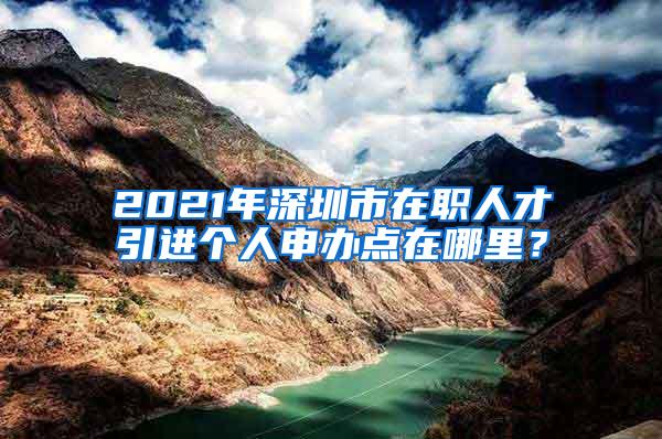 2021年深圳市在职人才引进个人申办点在哪里？