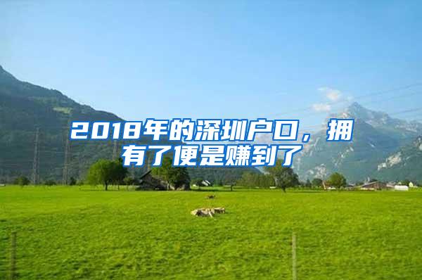 2018年的深圳户口，拥有了便是赚到了