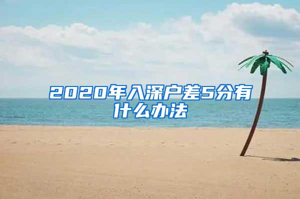 2020年入深户差5分有什么办法